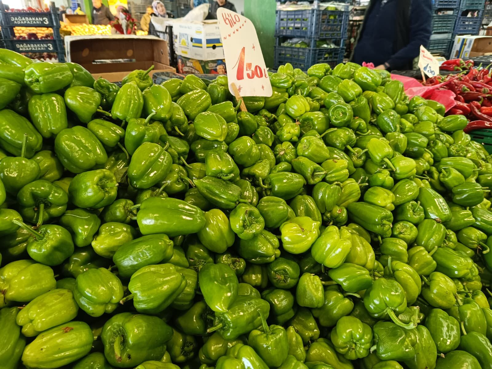 Whatsapp Image 2026 04 11 At 11.12.13 (1)