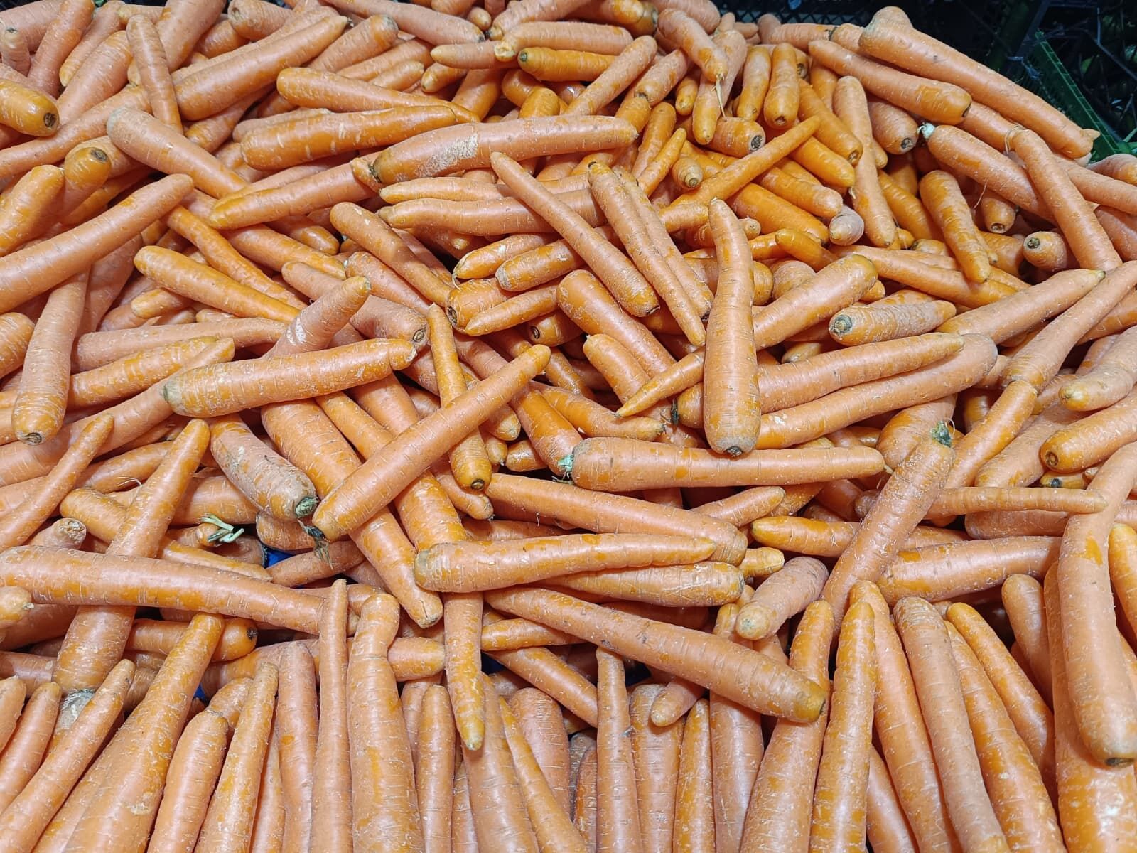 Whatsapp Image 2026 04 11 At 11.12.13