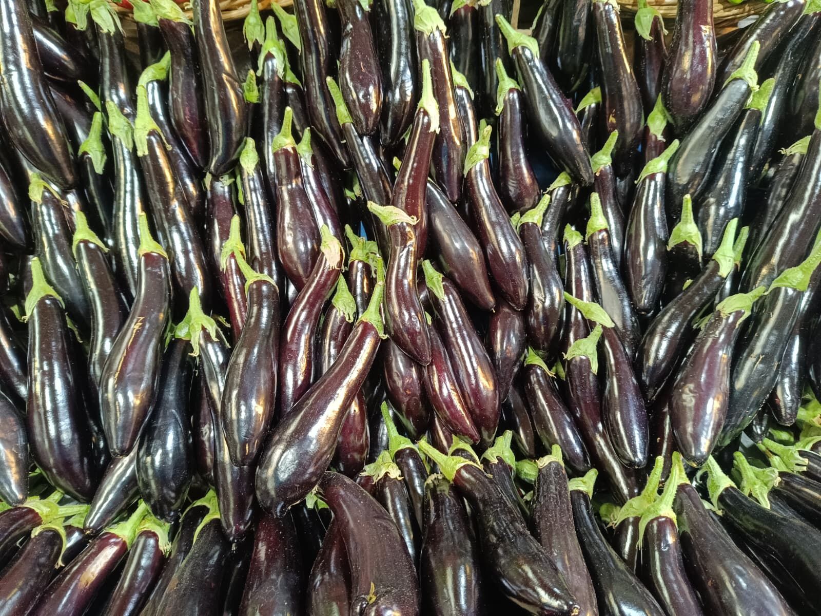 Whatsapp Image 2026 04 11 At 11.12.14