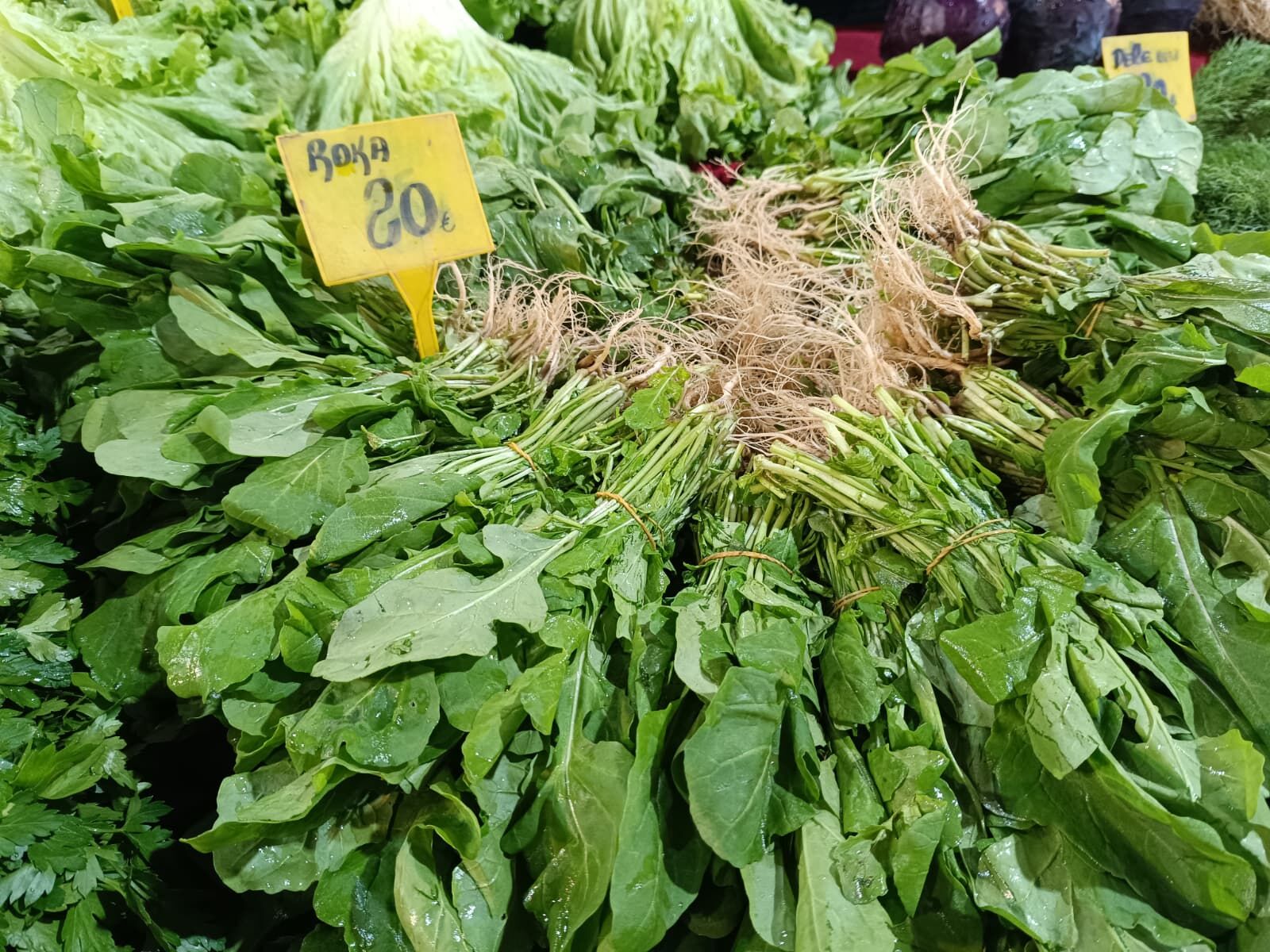 Whatsapp Image 2026 04 11 At 11.12.15 (1)