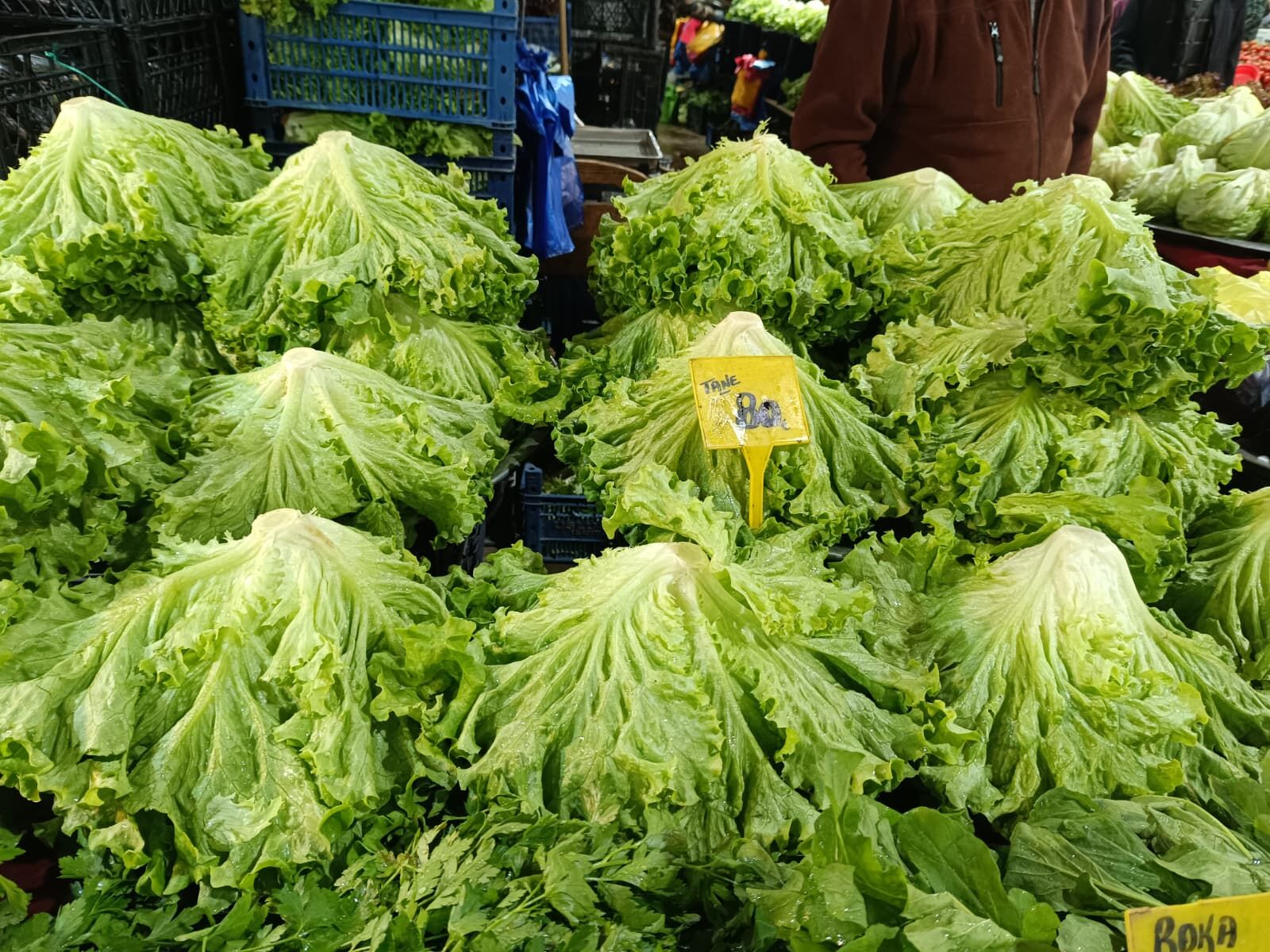 Whatsapp Image 2026 04 11 At 11.12.15