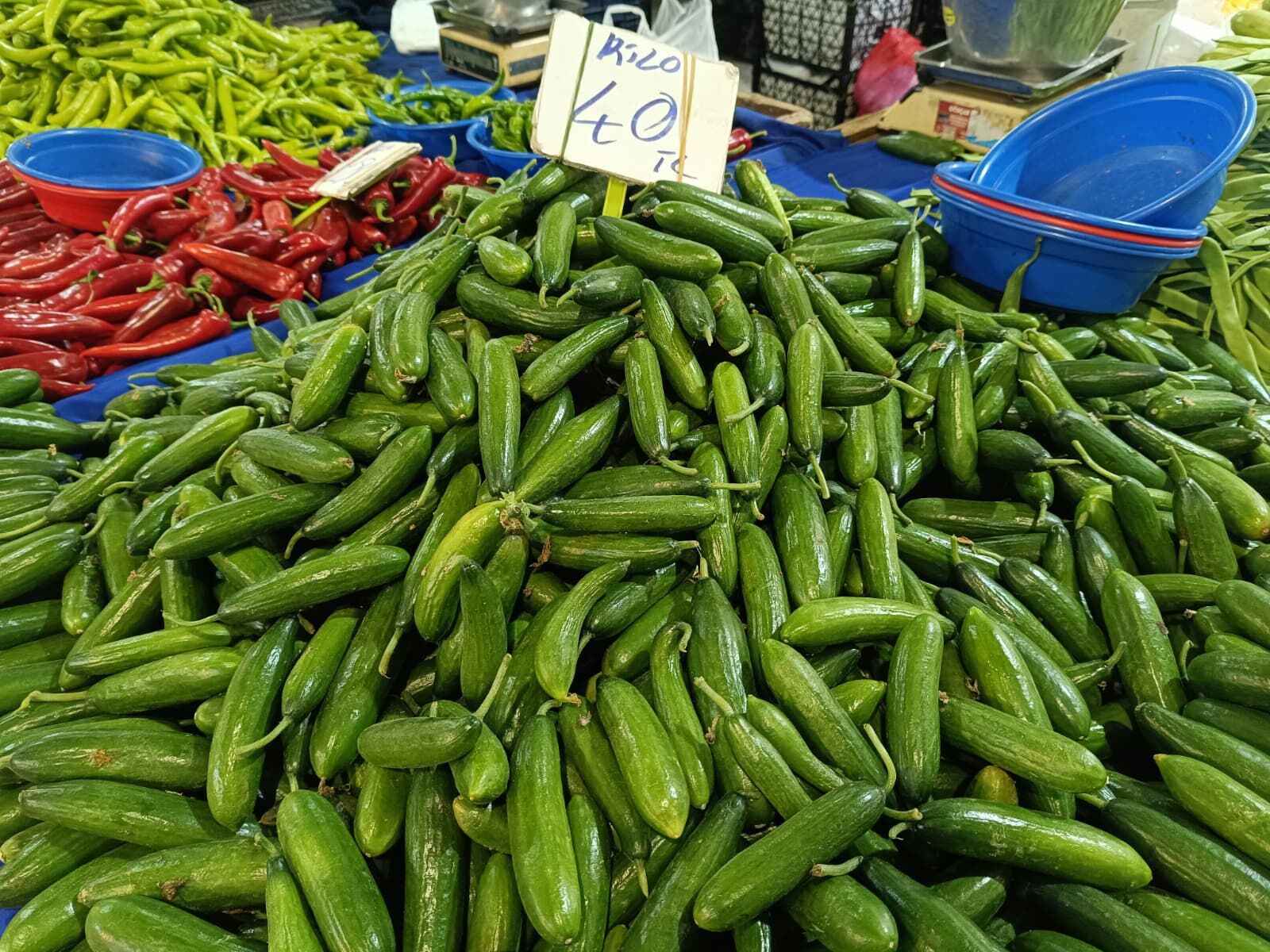 Whatsapp Image 2026 04 11 At 11.12.16 (1)