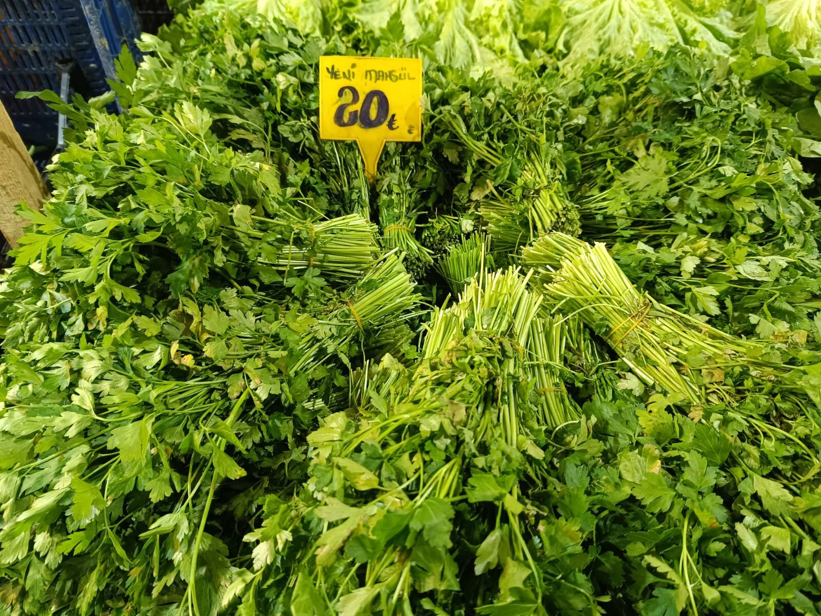 Whatsapp Image 2026 04 11 At 11.12.16