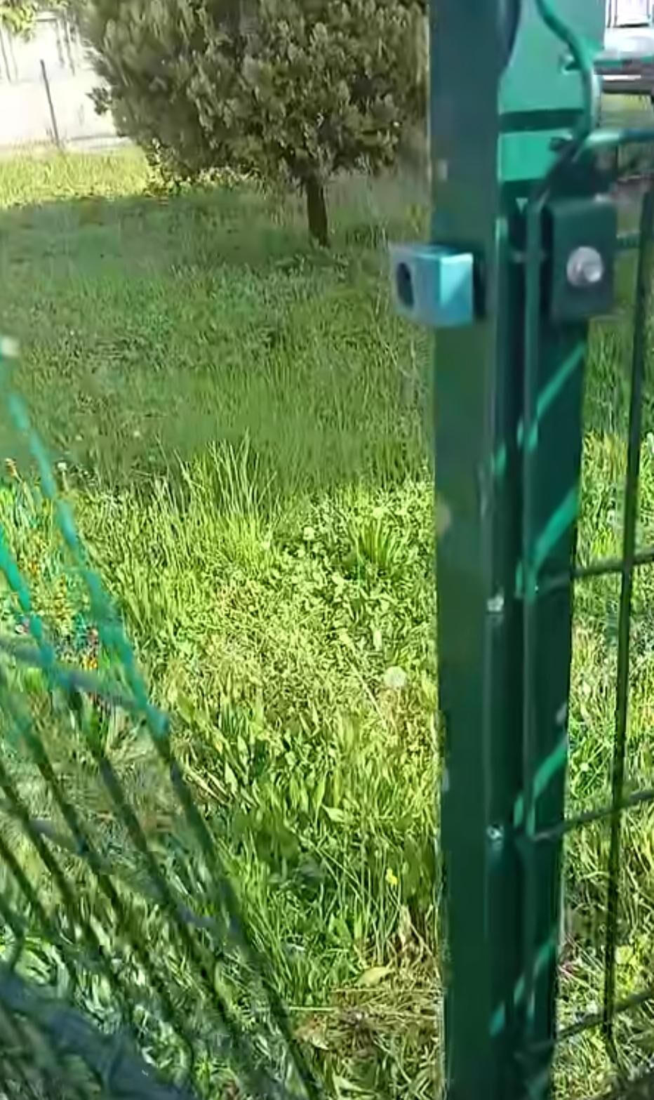 Whatsapp Image 2026 04 13 At 11.03.32