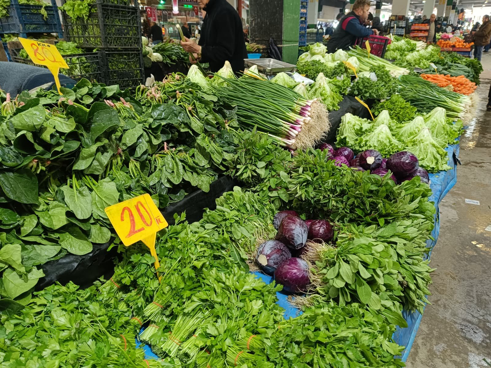 Whatsapp Image 2026 04 16 At 09.51.10