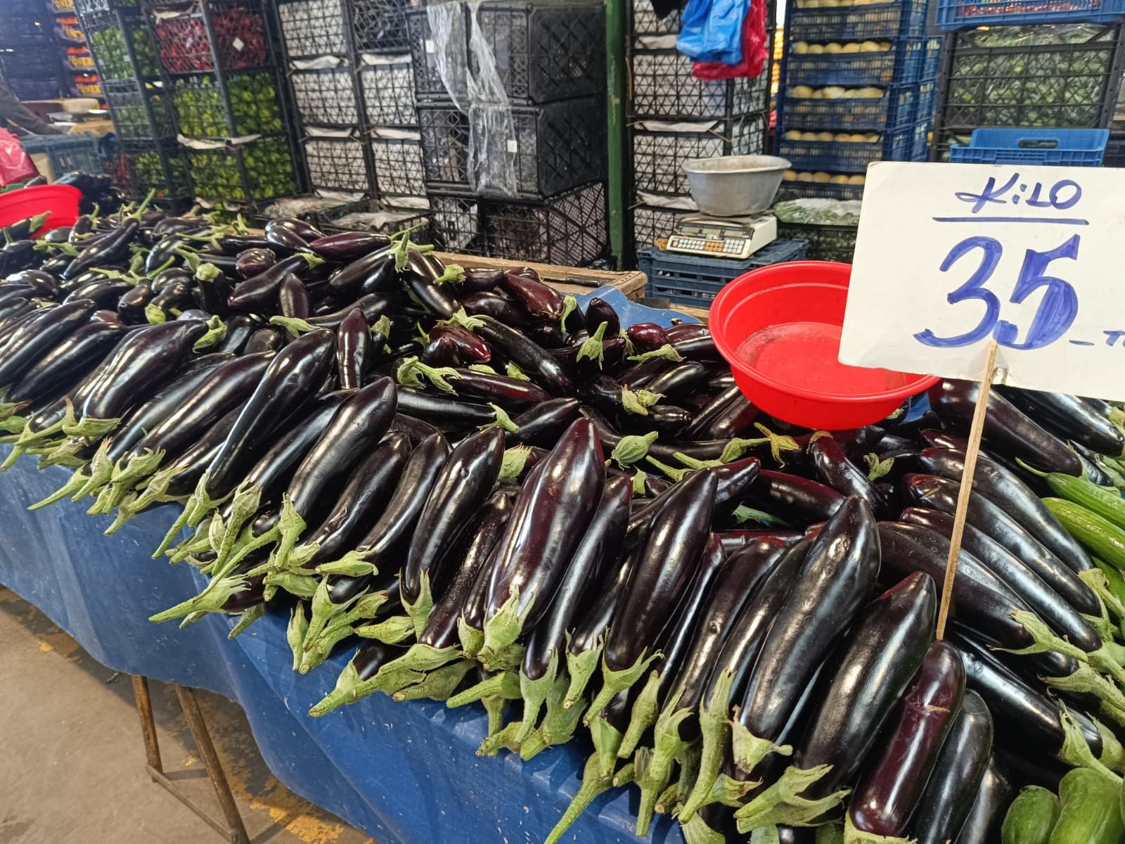 Whatsapp Image 2026 04 16 At 09.51.11 (1)