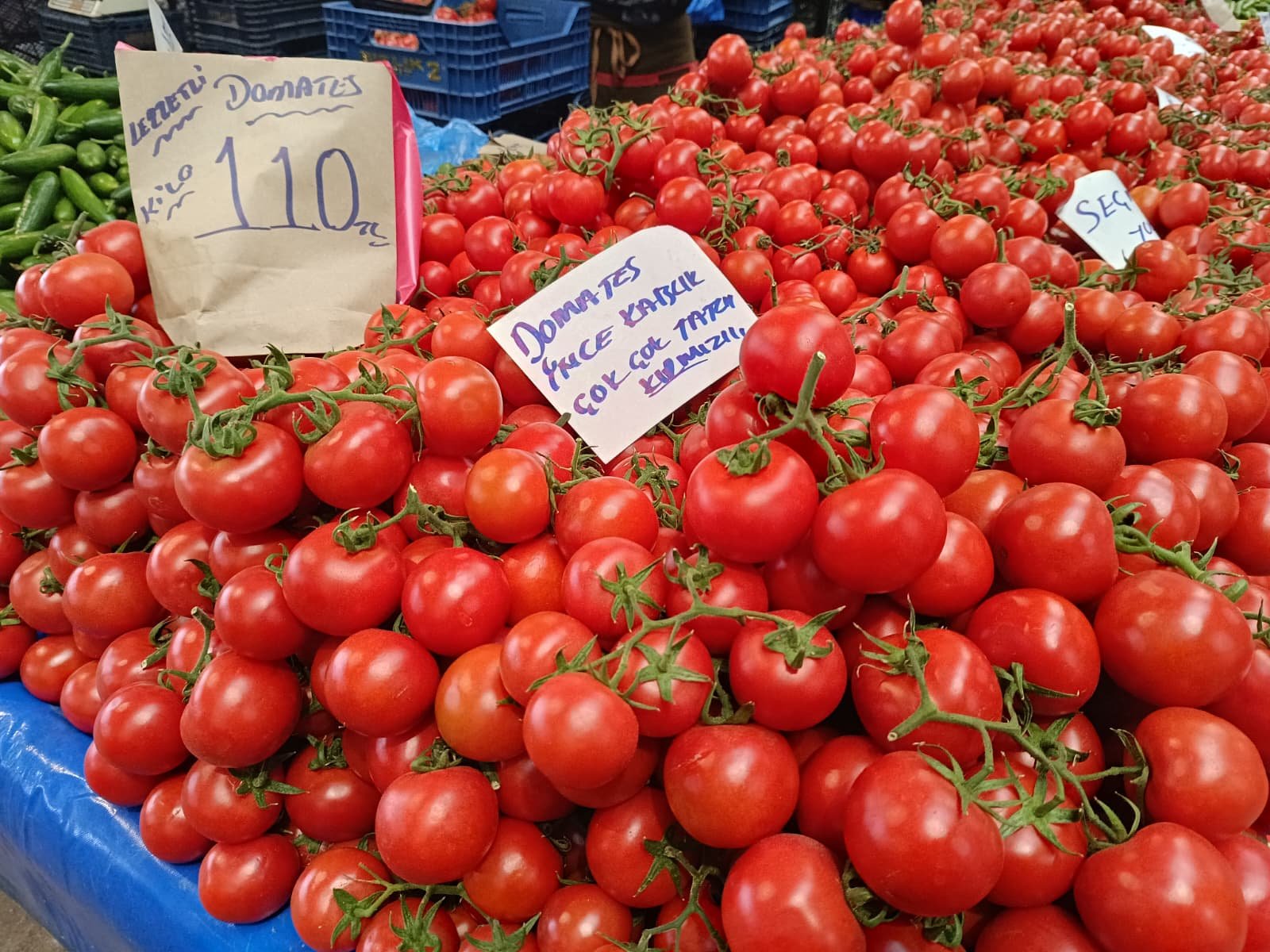 Whatsapp Image 2026 04 16 At 09.51.11 (3)