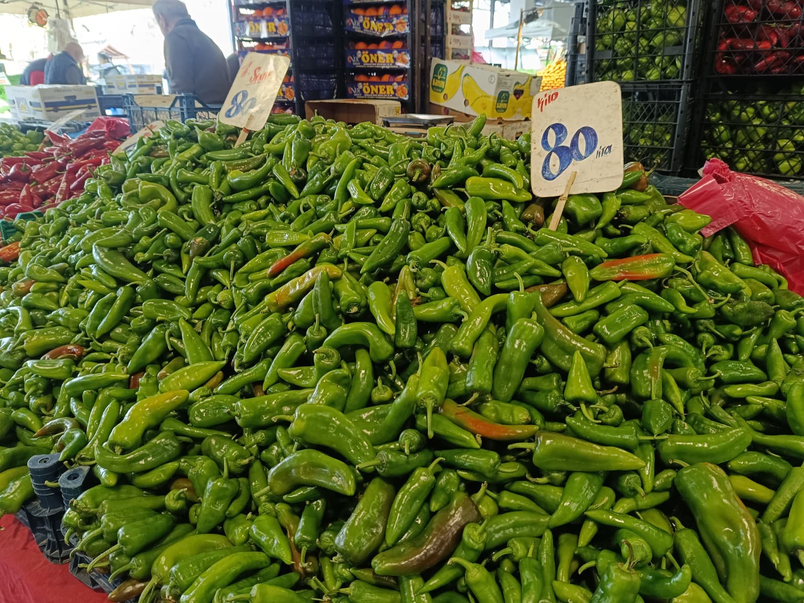 Whatsapp Image 2026 04 16 At 09.51.11