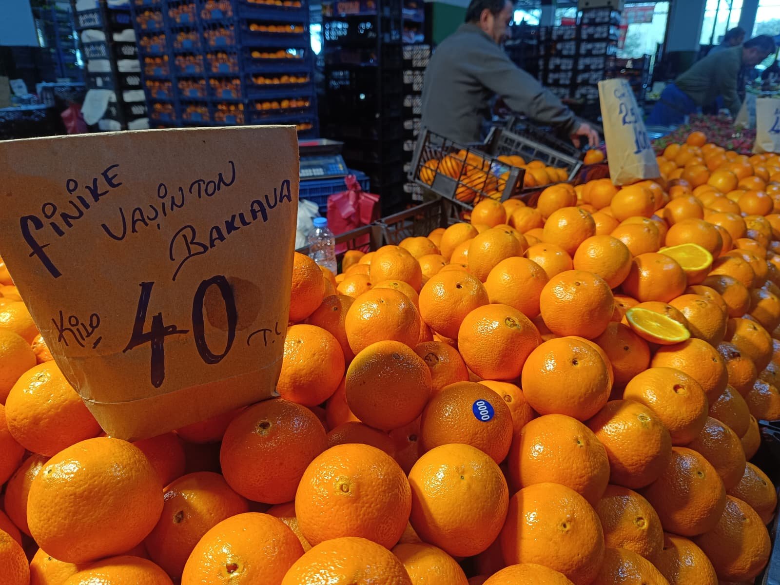 Whatsapp Image 2026 04 18 At 10.40.07 (1)