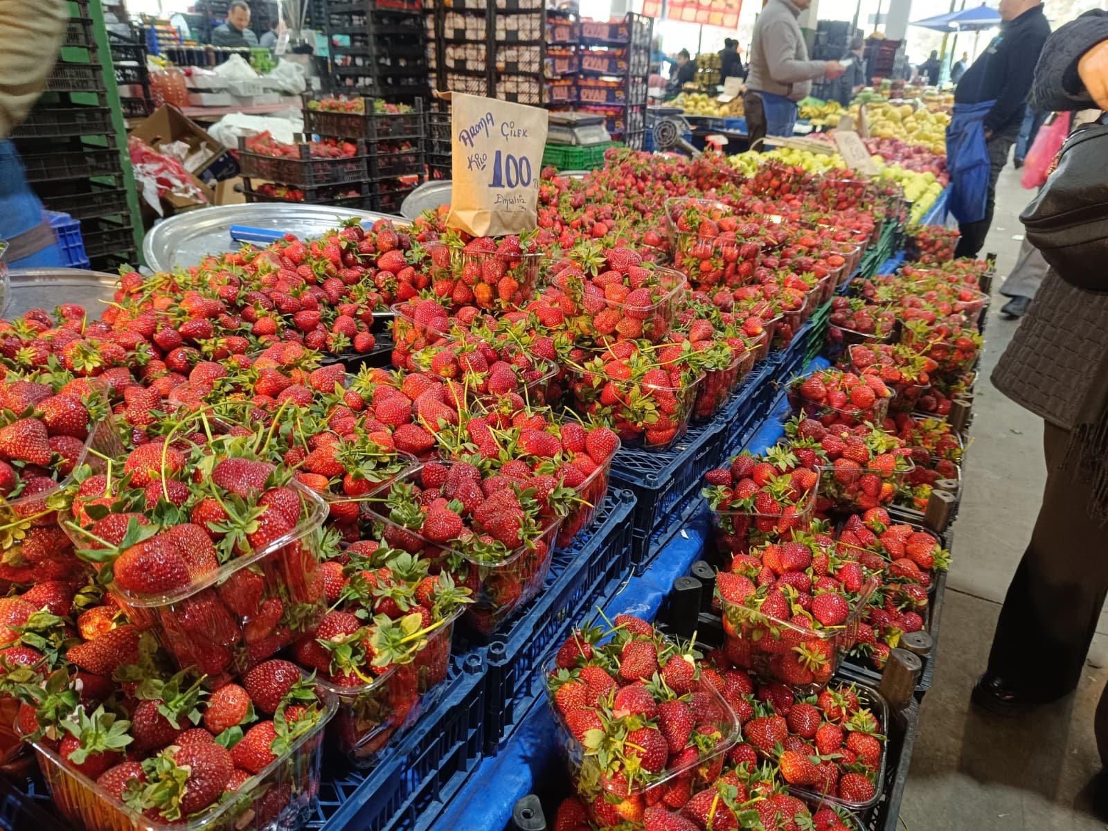 Whatsapp Image 2026 04 18 At 10.40.08