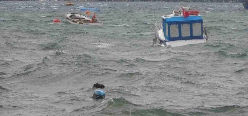 Whatsapp Image 2026 04 22 At 091736Fdgdf (1)