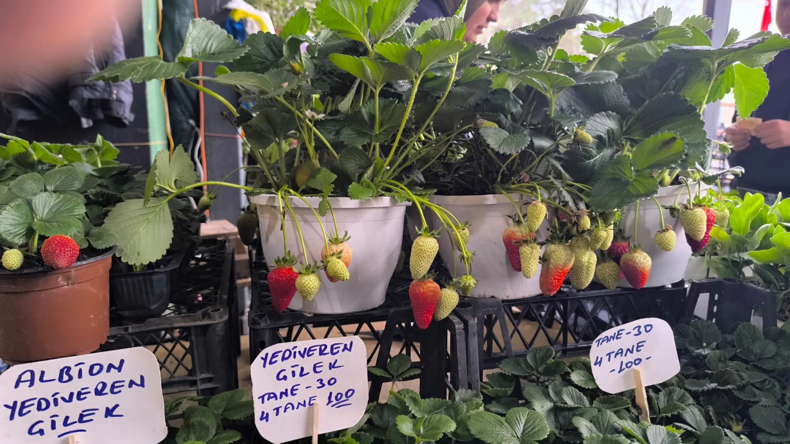 Whatsapp Image 2026 04 23 At 10.54.34 (1)