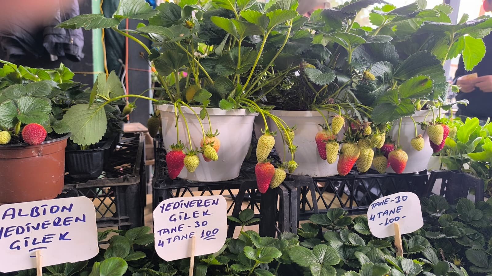 Whatsapp Image 2026 04 23 At 10.54.34