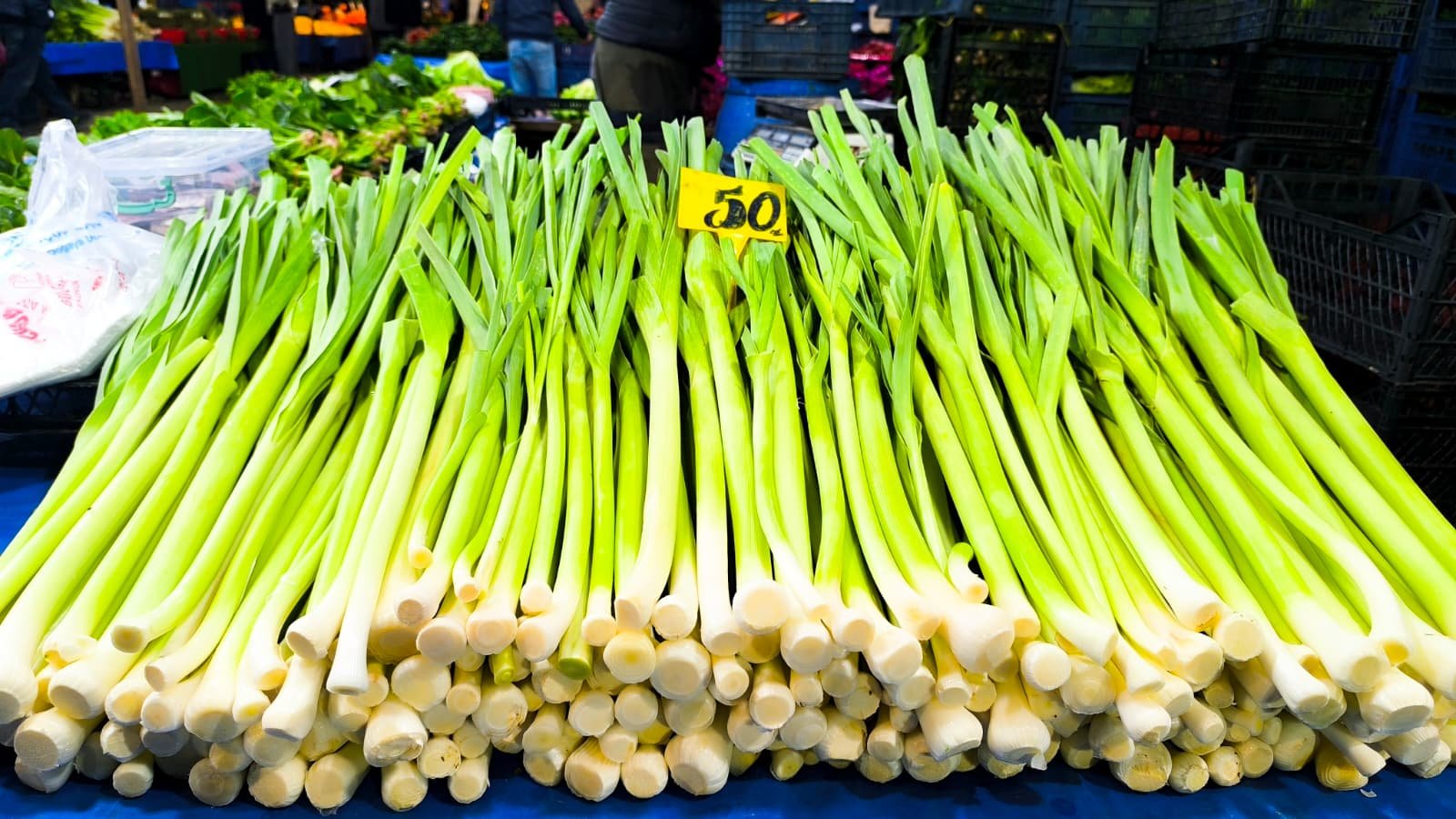 Whatsapp Image 2026 04 23 At 10.54.38 (2)