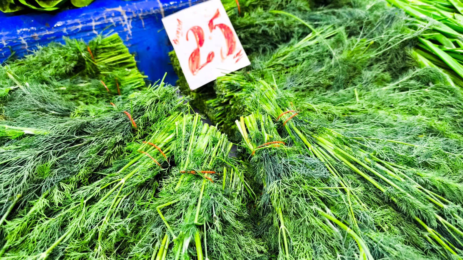 Whatsapp Image 2026 04 23 At 10.54.39 (1)