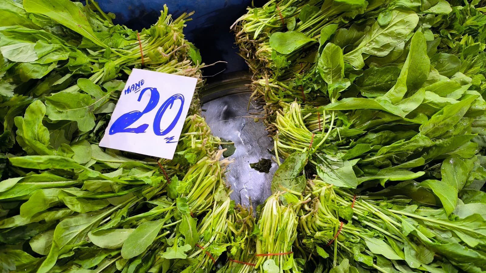 Whatsapp Image 2026 04 23 At 10.54.39