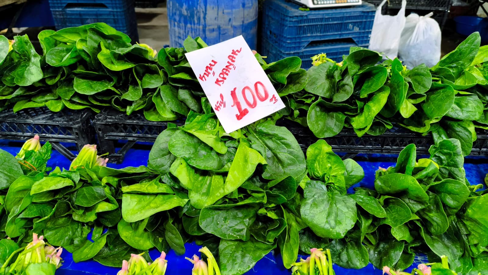 Whatsapp Image 2026 04 23 At 10.54.41