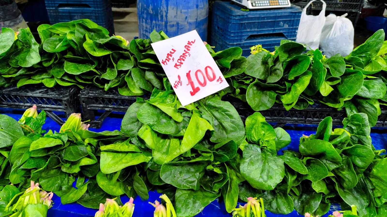 Whatsapp Image 2026 04 23 At 10.54.43