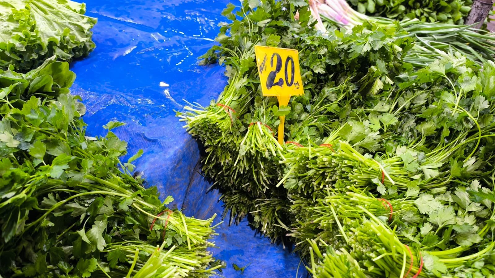 Whatsapp Image 2026 04 23 At 10.54.44