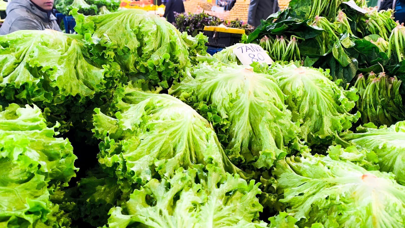 Whatsapp Image 2026 04 23 At 10.54.55