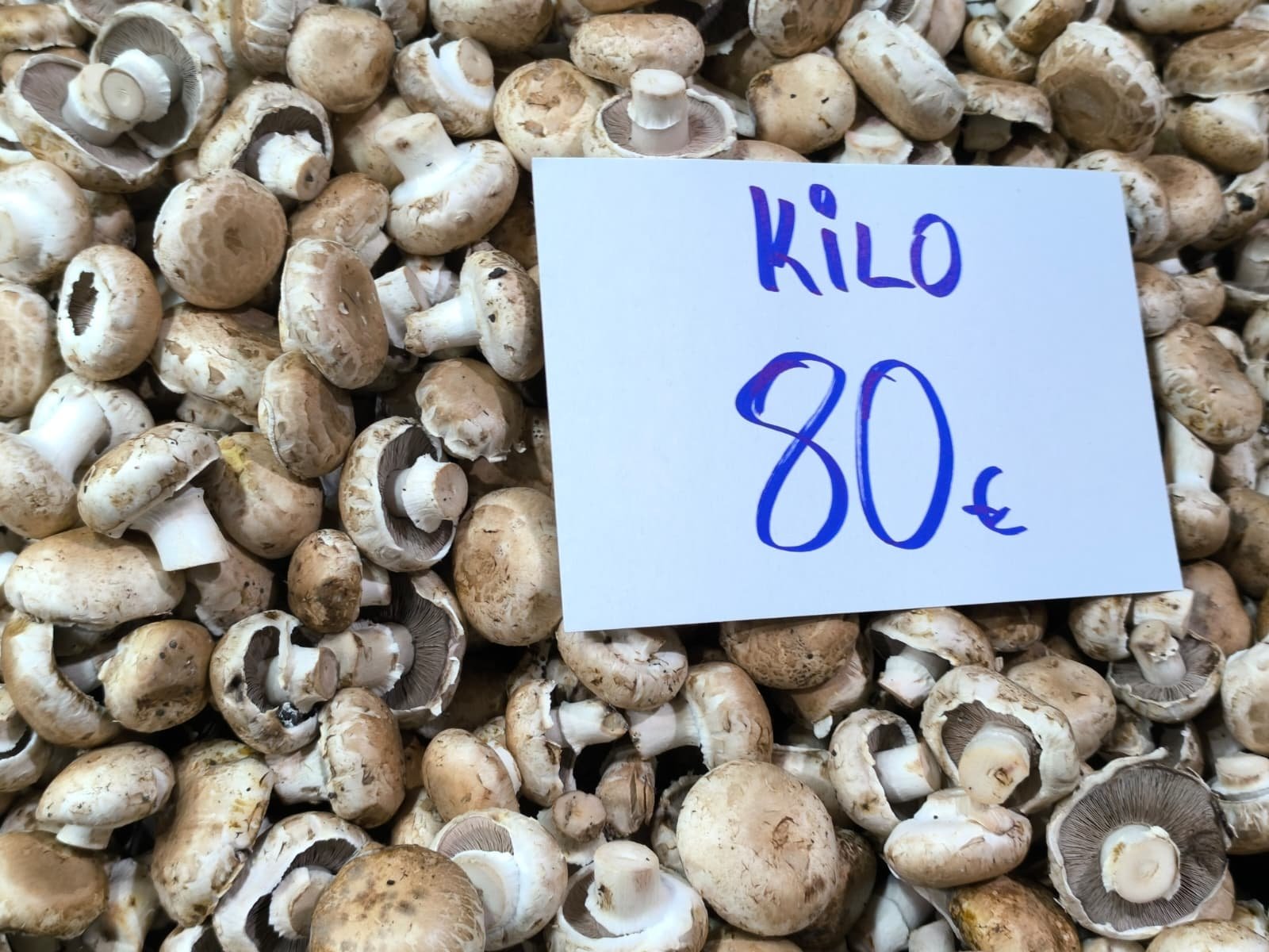 Whatsapp Image 2026 04 23 At 10.55.03 (1)