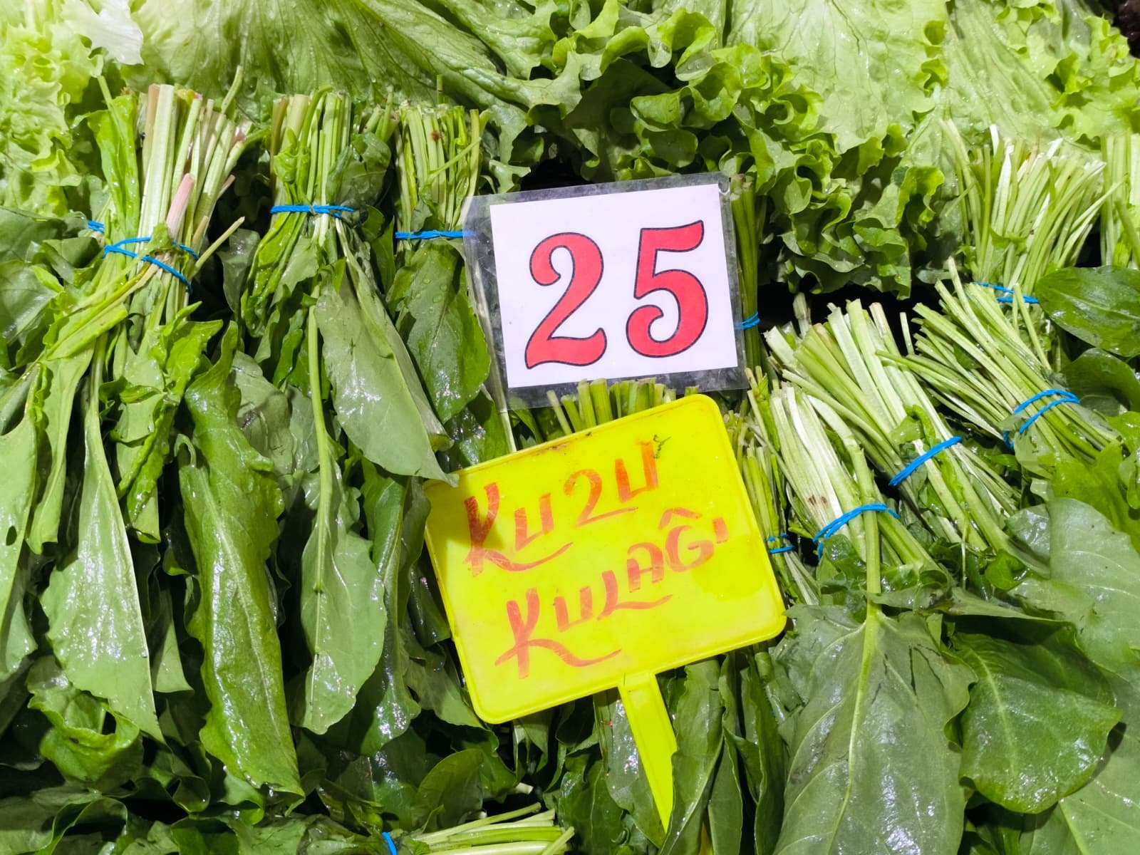 Whatsapp Image 2026 04 23 At 10.55.03