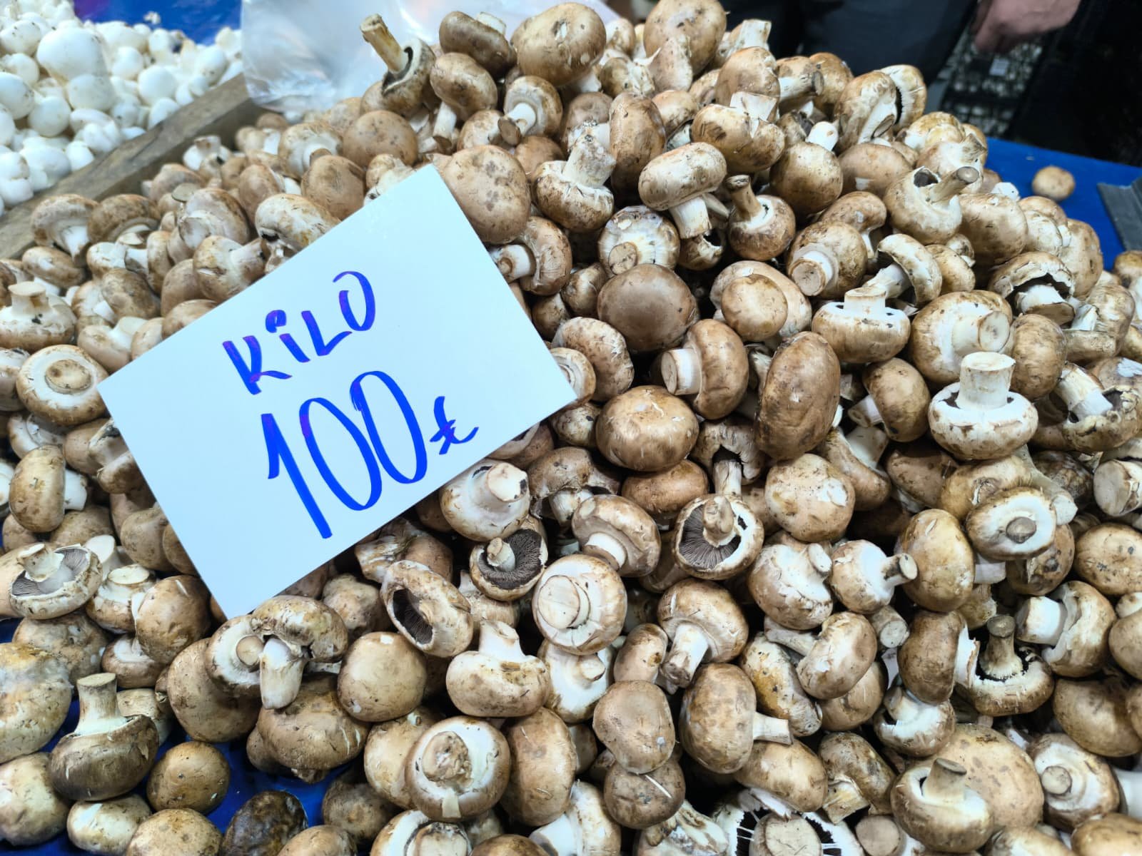 Whatsapp Image 2026 04 23 At 10.55.04