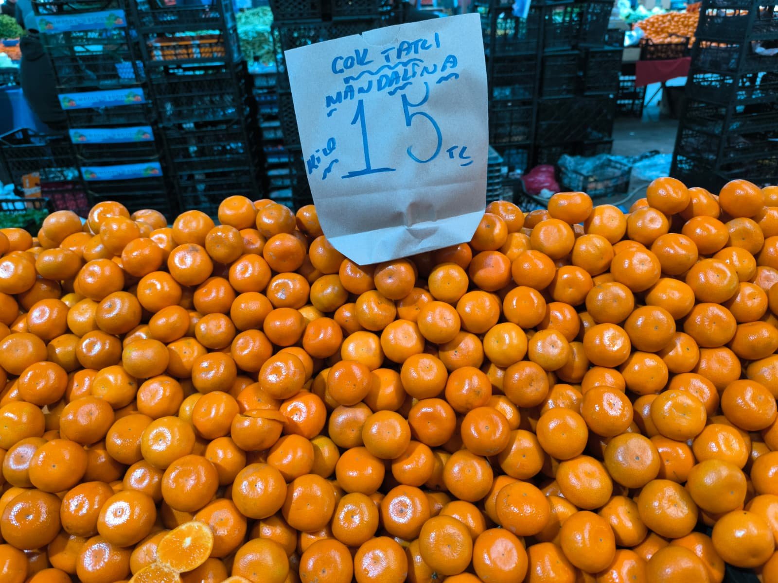 Whatsapp Image 2026 04 23 At 10.55.05