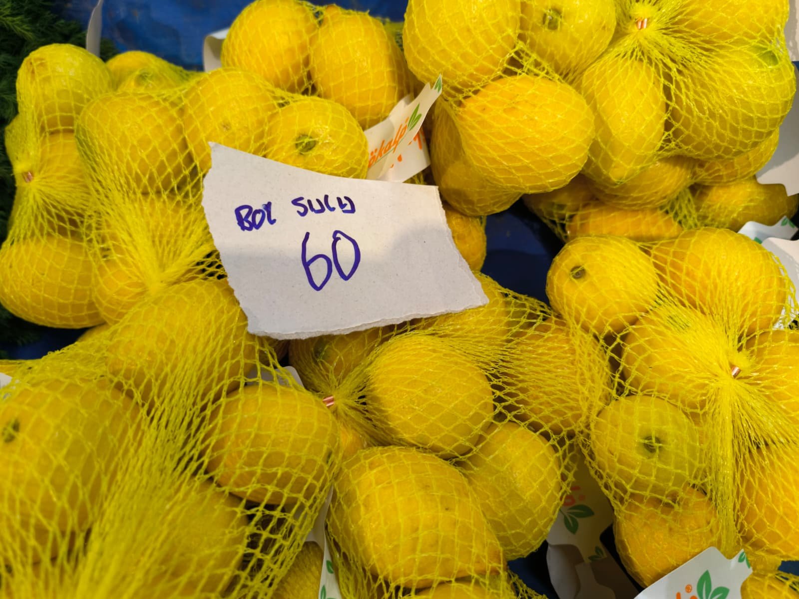 Whatsapp Image 2026 04 23 At 10.55.06