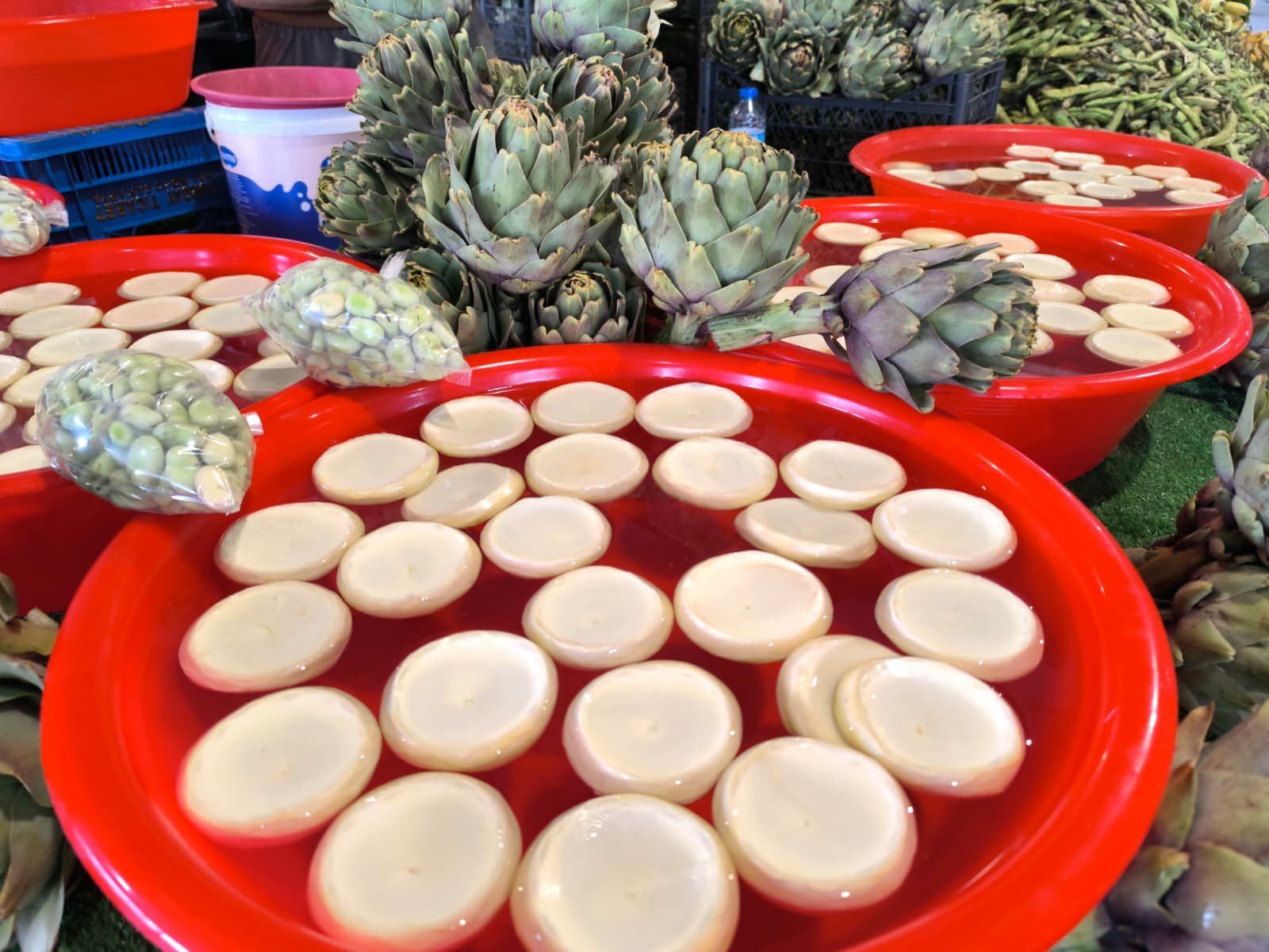 Whatsapp Image 2026 04 23 At 10.55.09