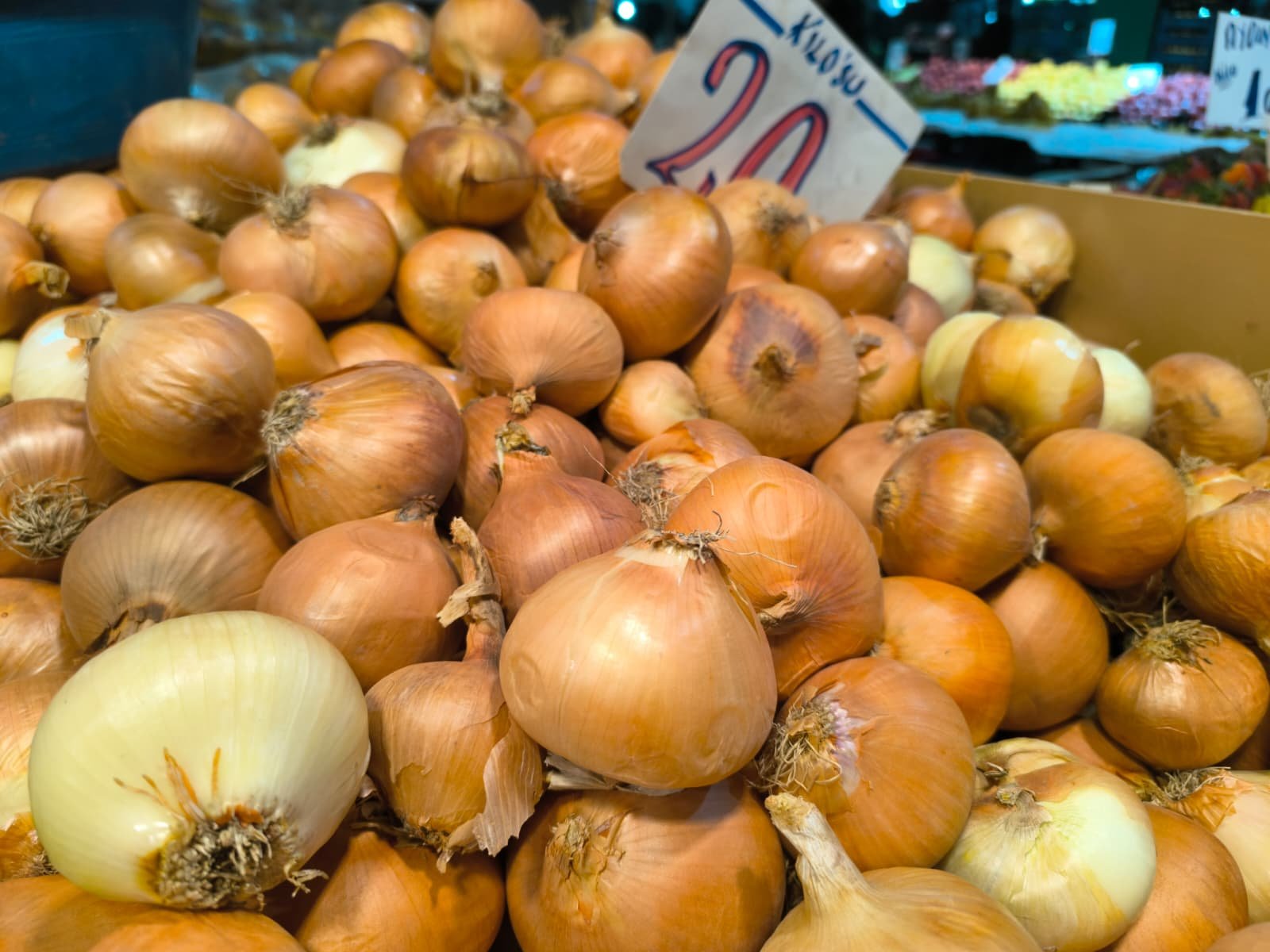 Whatsapp Image 2026 04 23 At 10.55.15