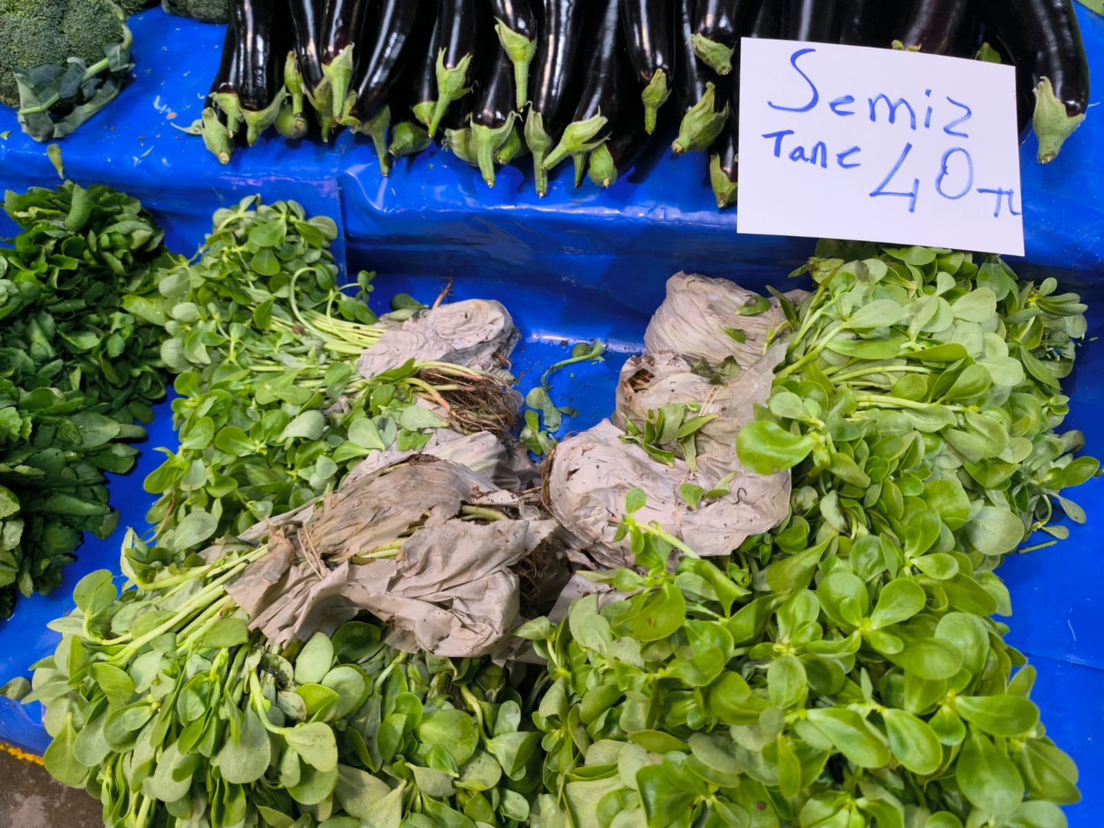 Whatsapp Image 2026 04 23 At 10.55.25