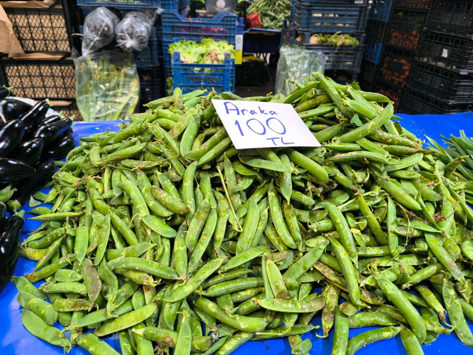 Whatsapp Image 2026 04 23 At 10.55.26