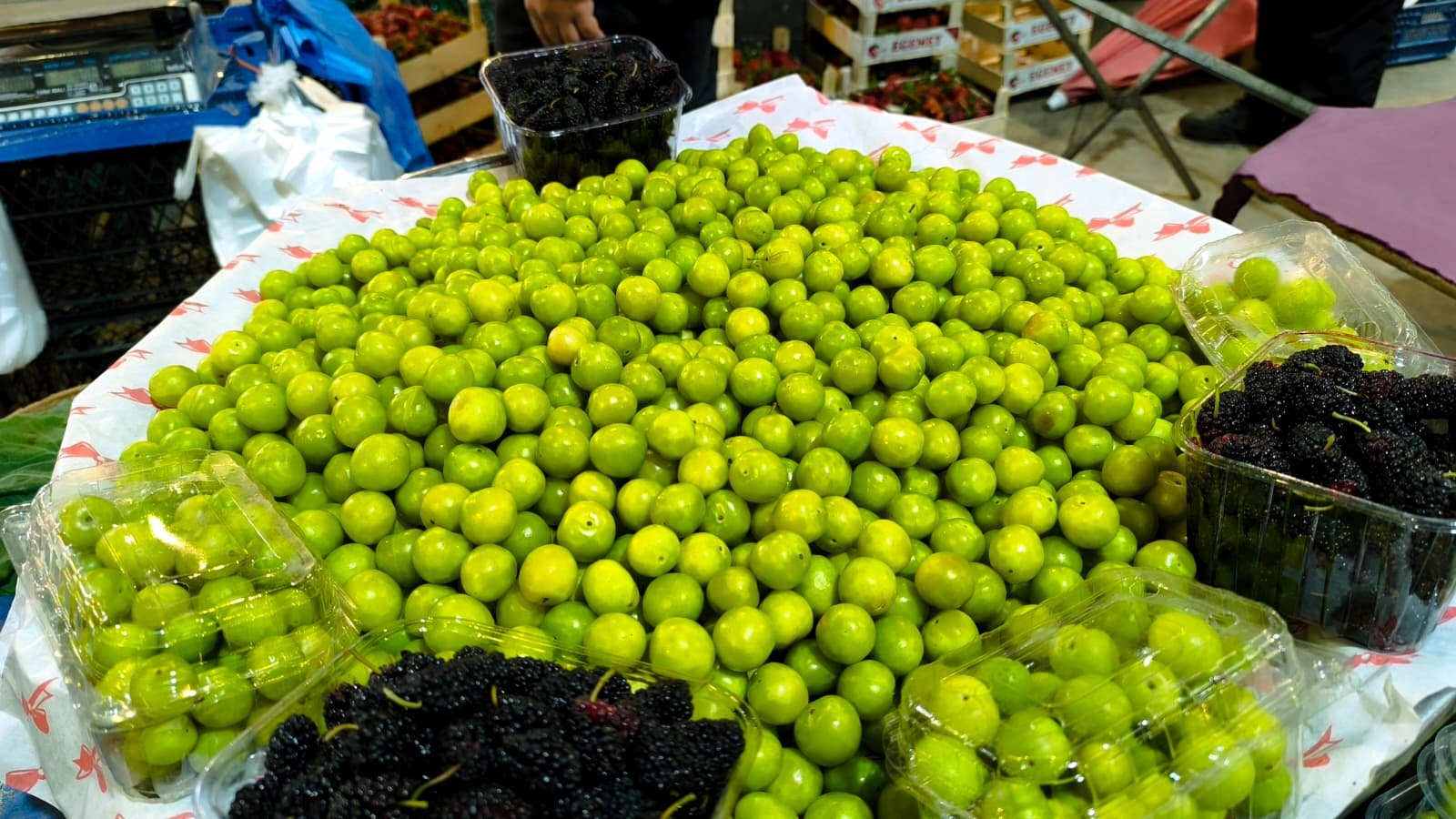 Whatsapp Image 2026 04 23 At 10.55.30 (3)