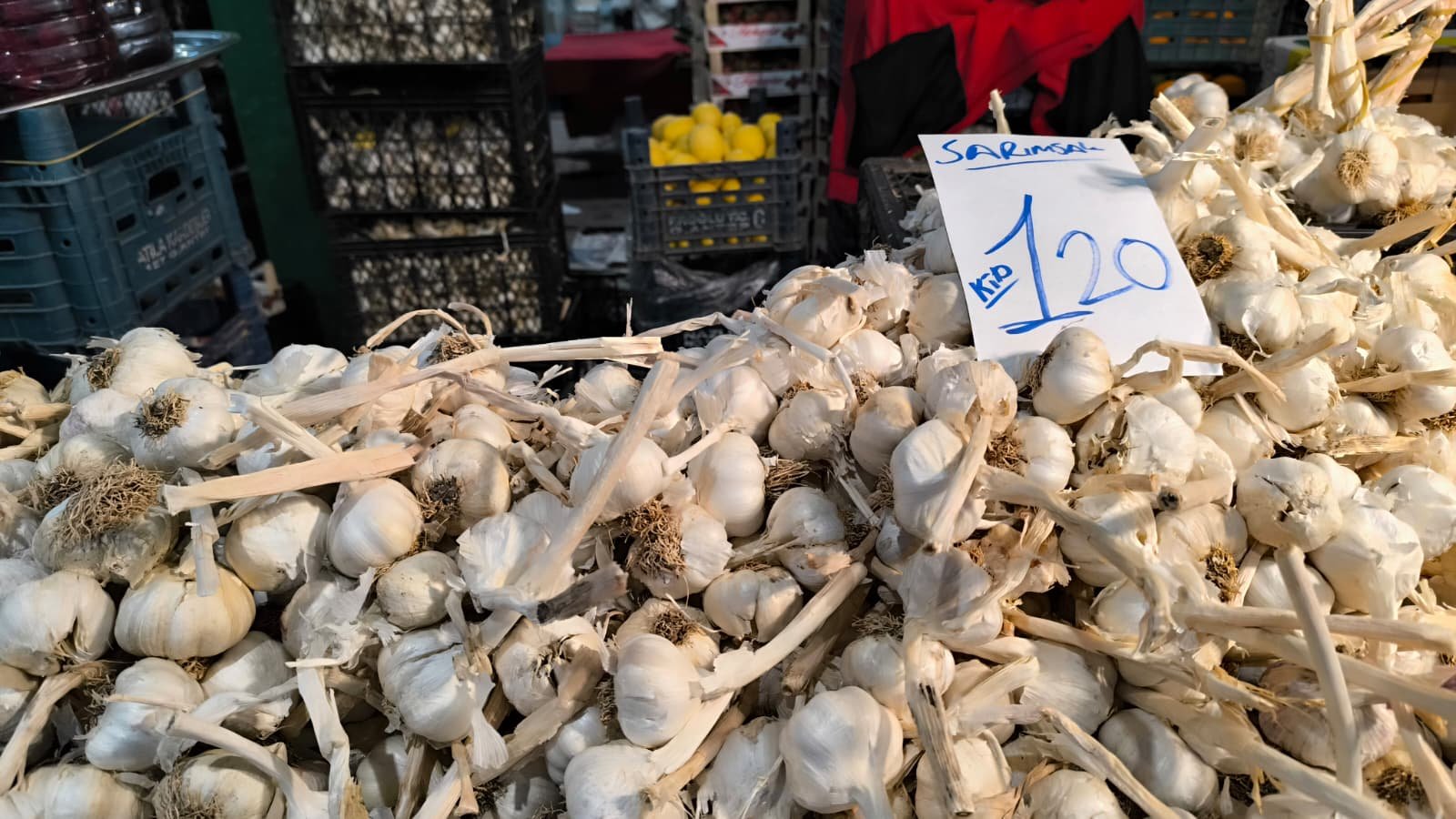 Whatsapp Image 2026 04 23 At 10.55.31 (1)