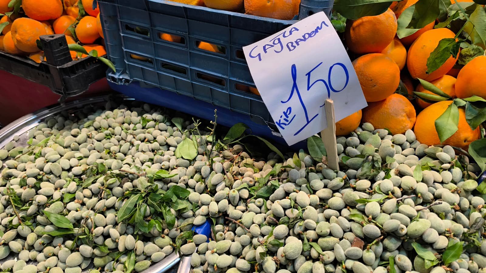 Whatsapp Image 2026 04 23 At 10.55.31