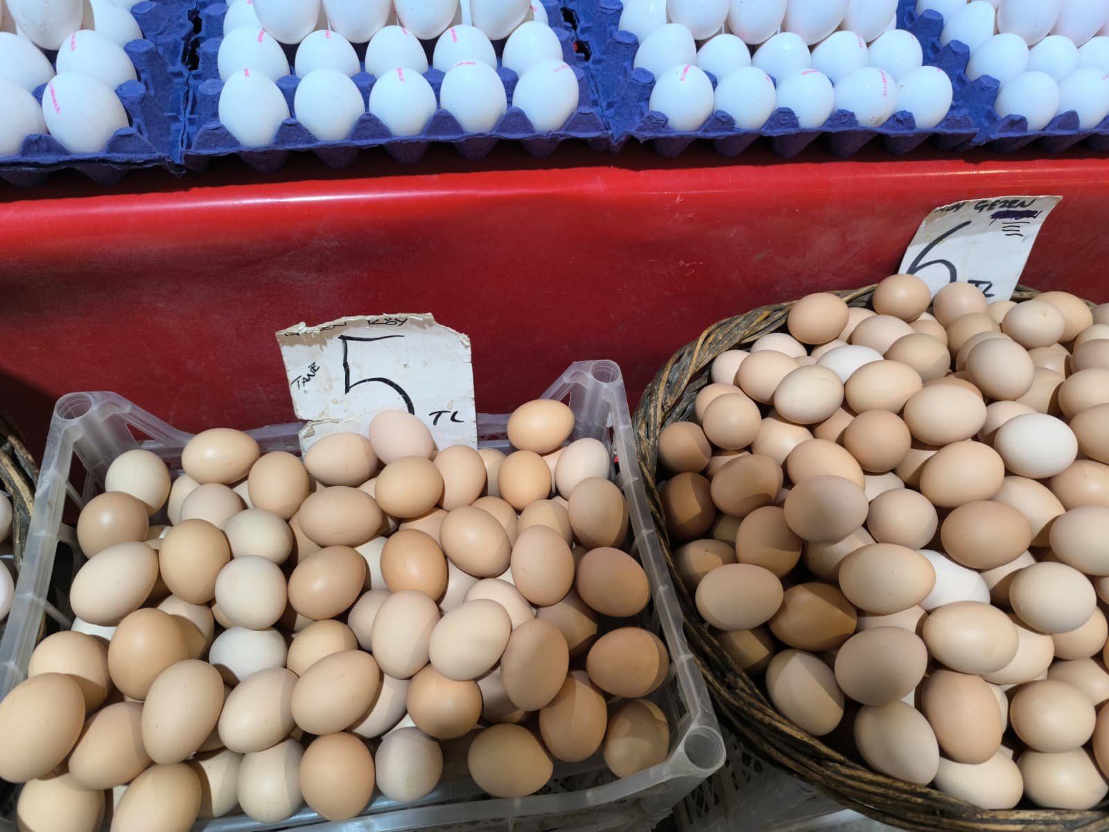 Whatsapp Image 2026 04 23 At 10.55.41