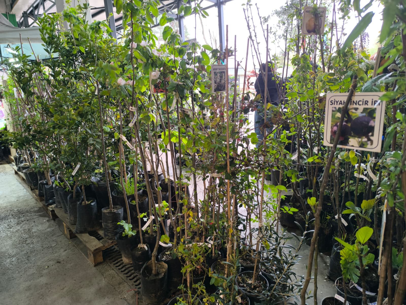 Whatsapp Image 2026 04 23 At 10.55.45