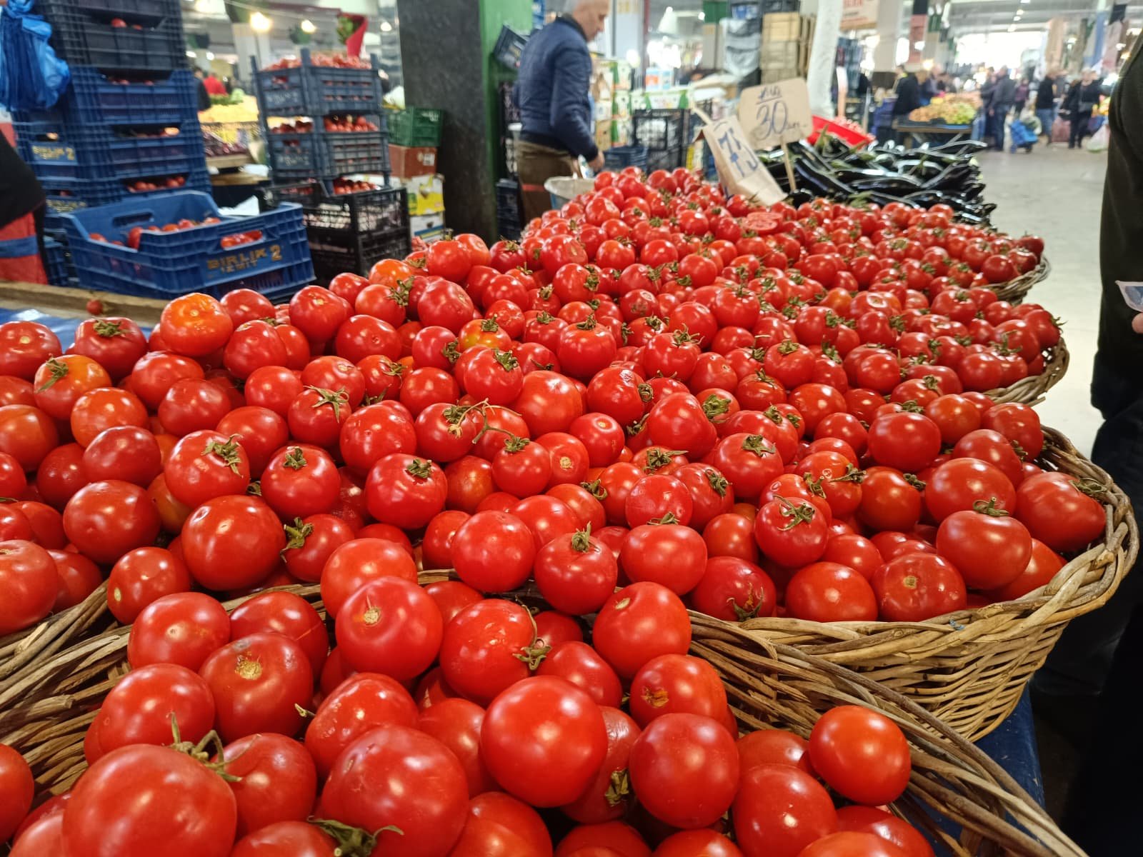 Whatsapp Image 2026 04 25 At 10.22.28 (1)