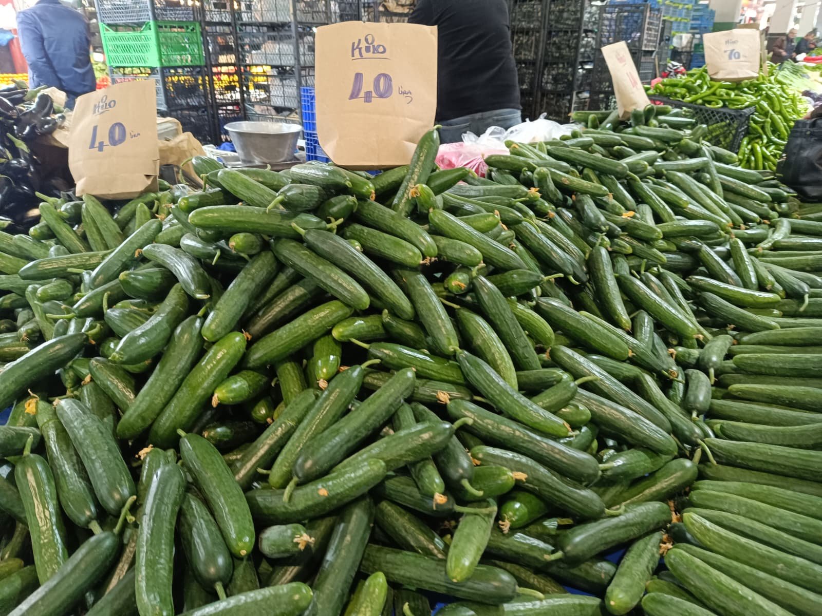 Whatsapp Image 2026 04 25 At 10.22.28 (2)