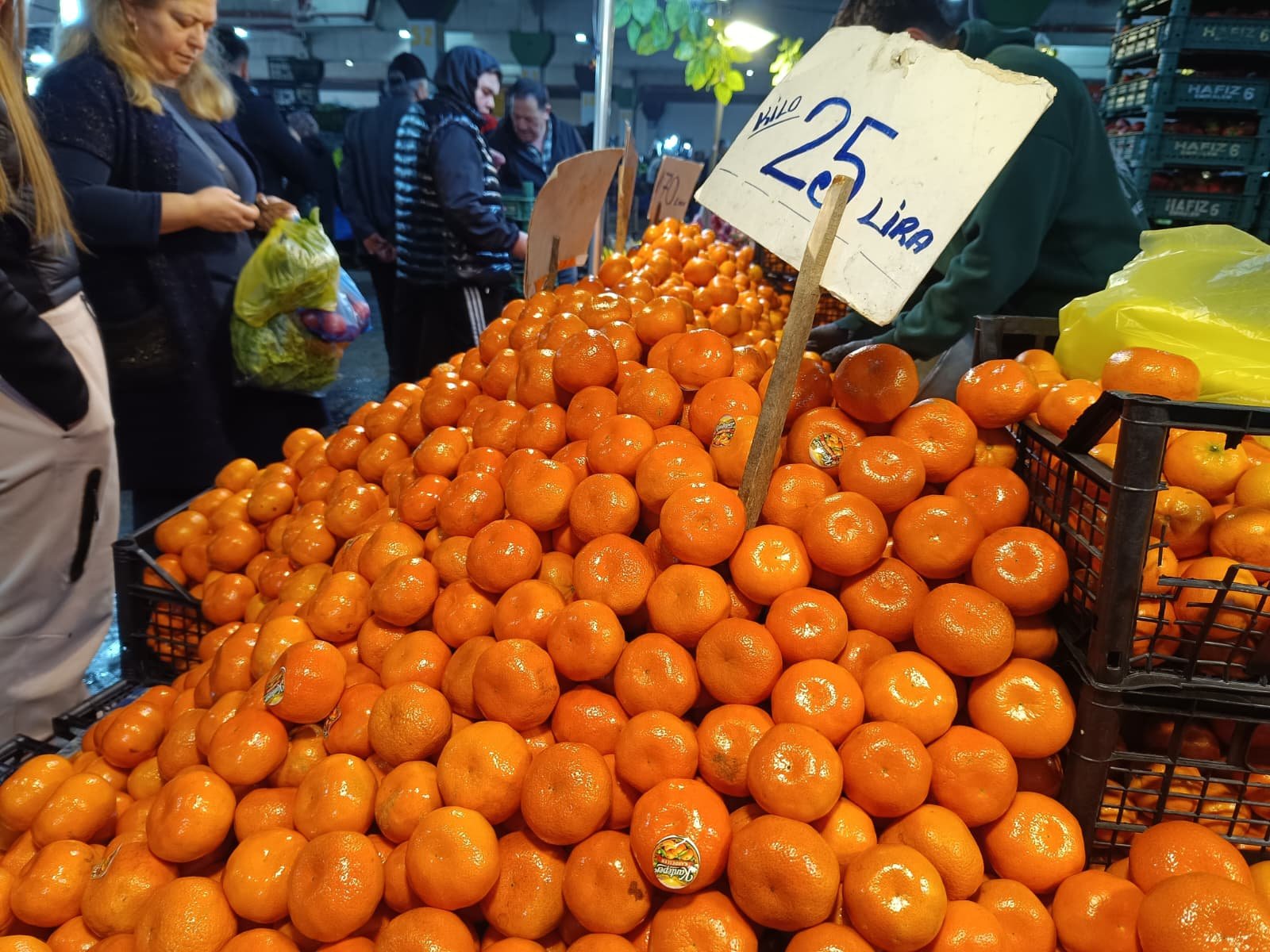 Whatsapp Image 2026 04 25 At 10.22.28