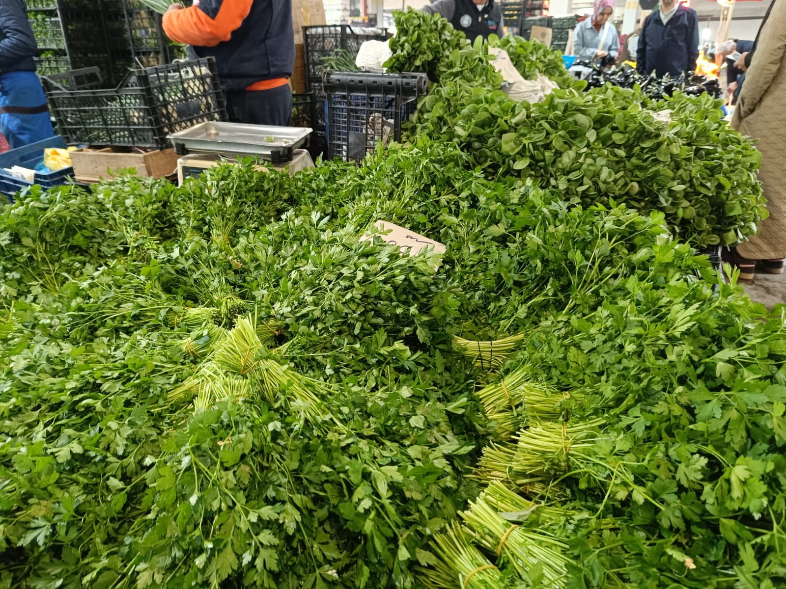 Whatsapp Image 2026 04 25 At 10.22.30