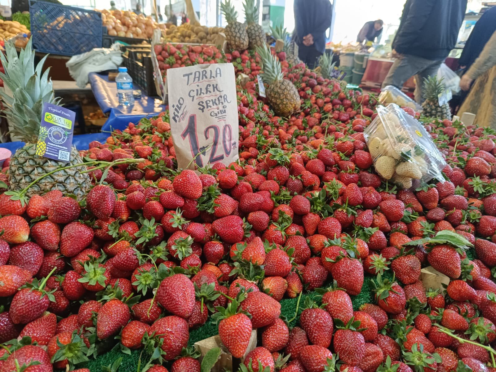 Whatsapp Image 2026 04 25 At 10.22.54