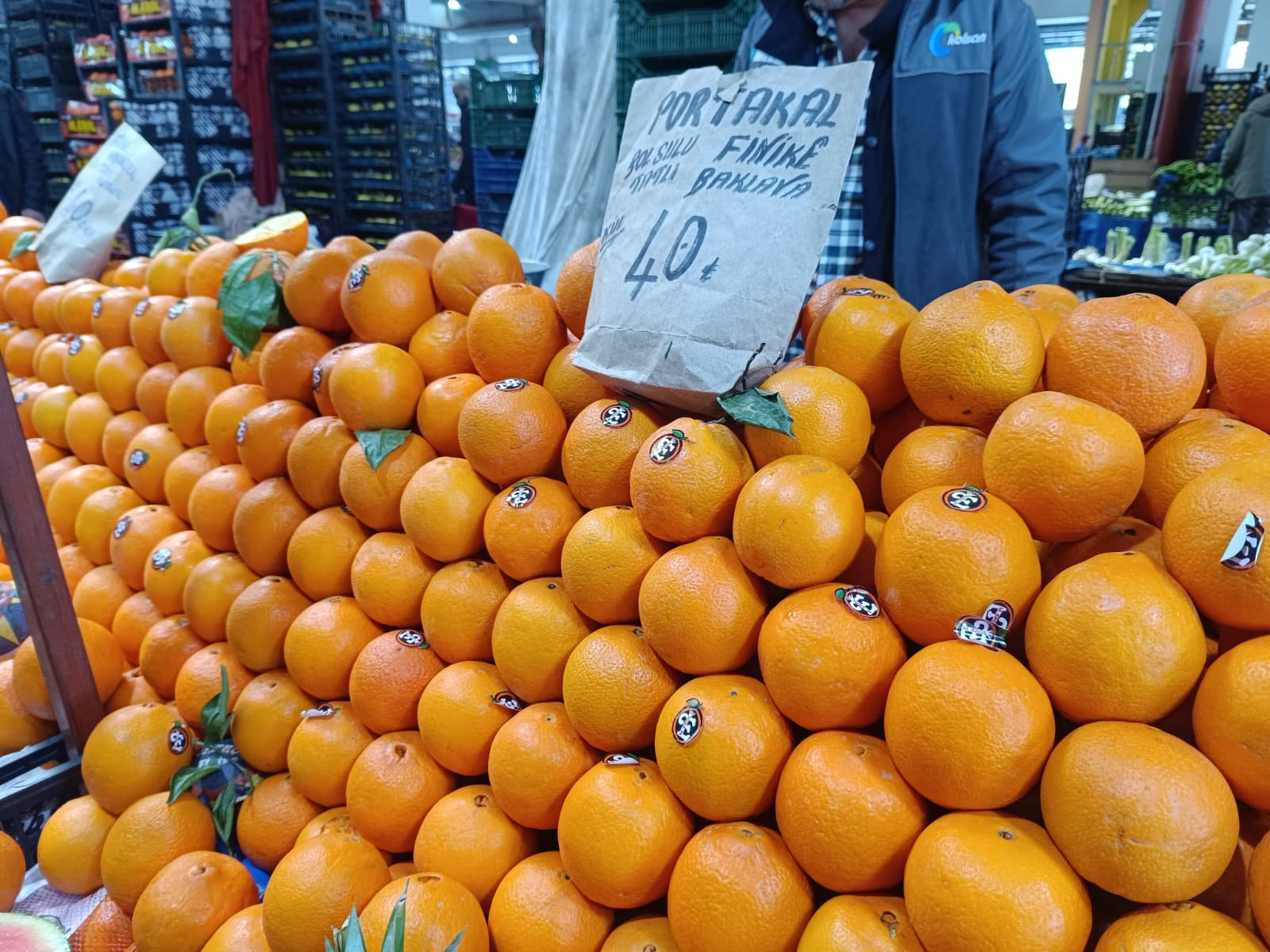 Whatsapp Image 2026 04 25 At 10.22.55