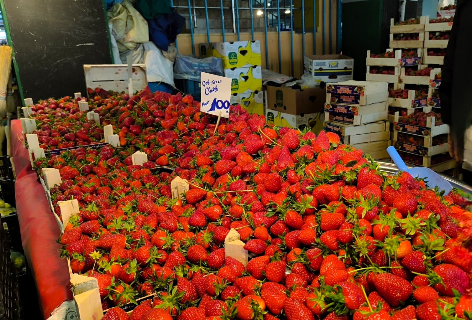 Whatsapp Image 2026 04 30 At 10.21.55