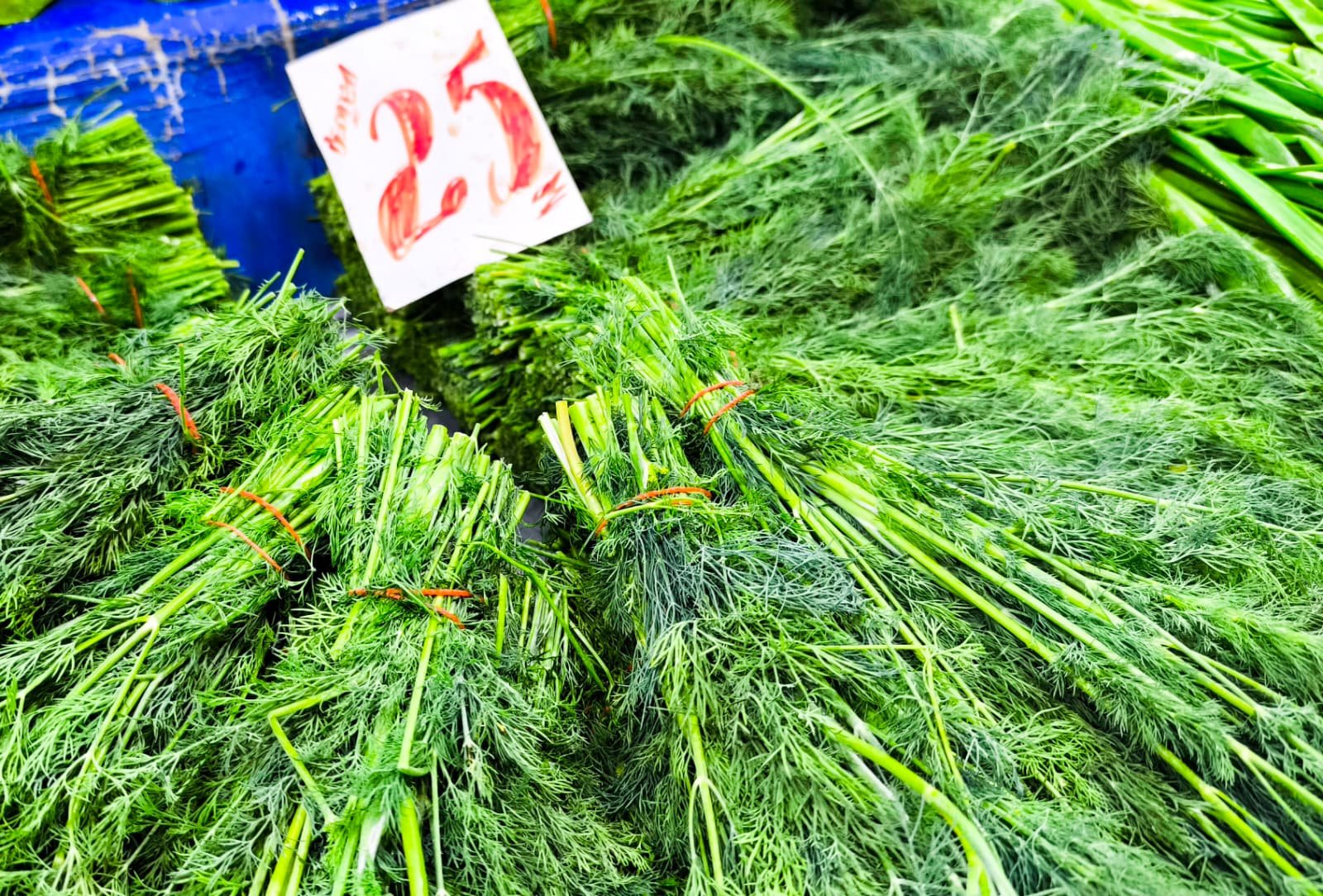 Whatsapp Image 2026 04 30 At 10.22.20 (1)