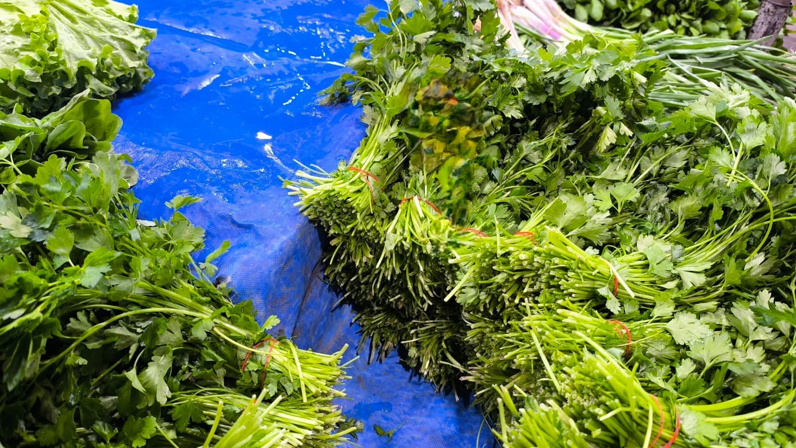 Whatsapp Image 2026 04 30 At 10.22.21 (1)