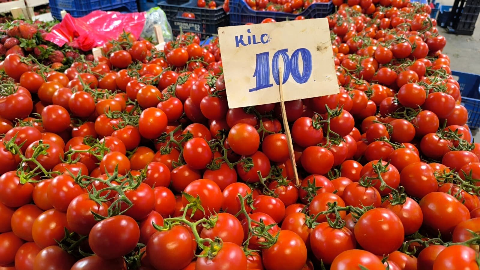 Whatsapp Image 2026 04 30 At 10.22.24 (2)