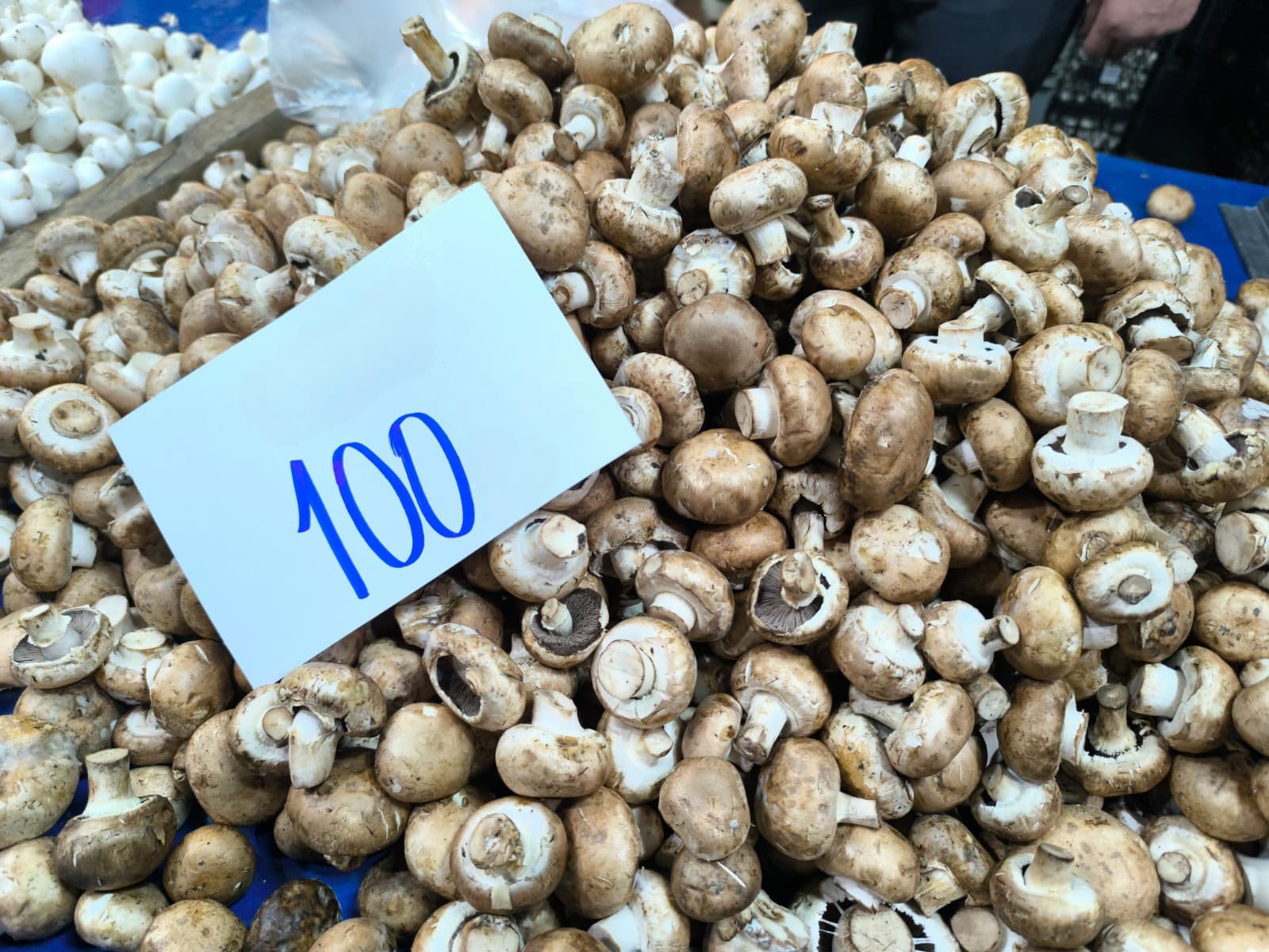 Whatsapp Image 2026 04 30 At 10.22.25 (2)