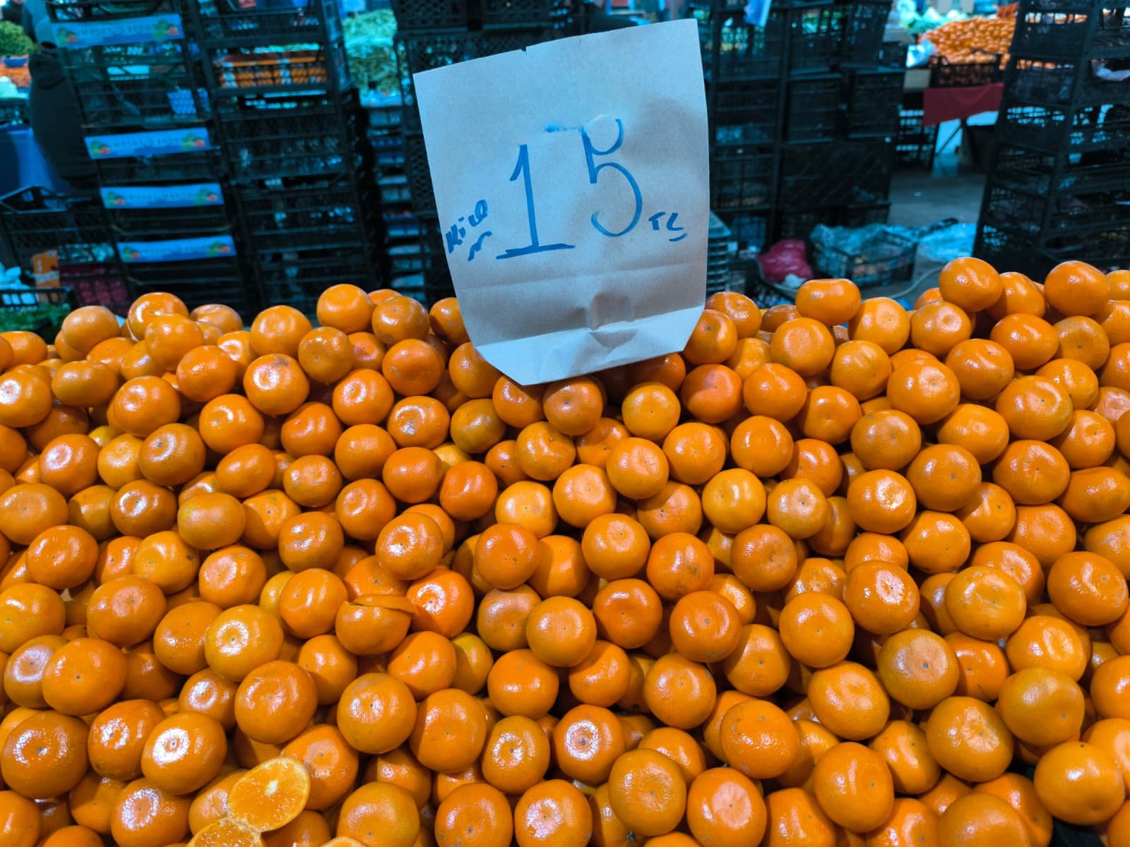 Whatsapp Image 2026 04 30 At 10.22.25 (3)